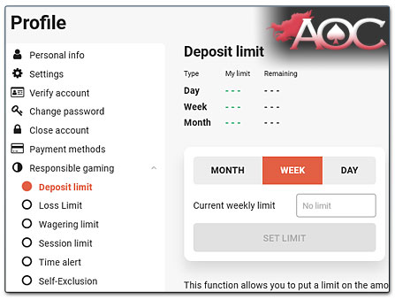 Responsible Gambling Tools