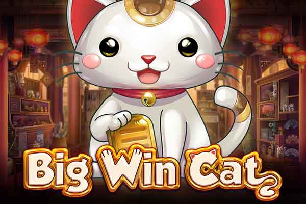 Play'n GOのBig Win Cat